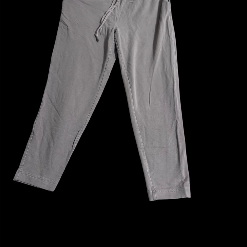 Banana Republic women’s Joggers brown